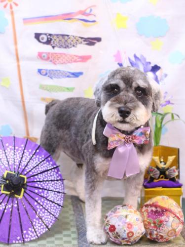 20240516ディアくん